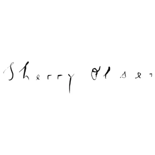 sherryolsen brand logo for sherryolsen.com