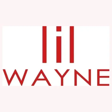 shoplilwayne brand logo for shoplilwayne.com
