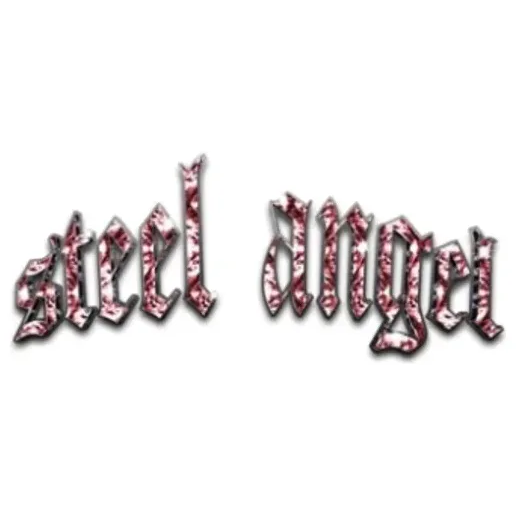 shopsteelangel brand logo for shopsteelangel.com