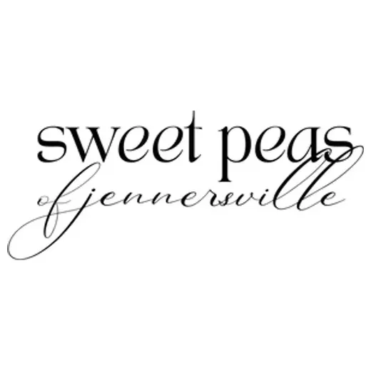 shopswp brand logo for shopswp.com