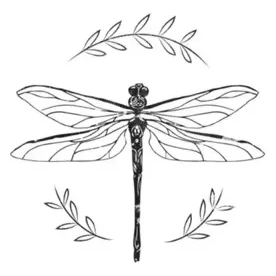 shopthedragonflyboutique brand logo for shopthedragonflyboutique.com