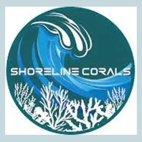 shorelinecorals brand logo for shorelinecorals.ca