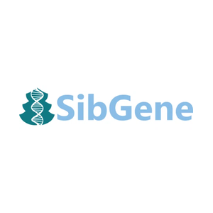 sibgene brand logo for sibgene.com