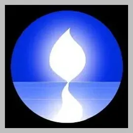 siddhayoga brand logo for siddhayoga.org