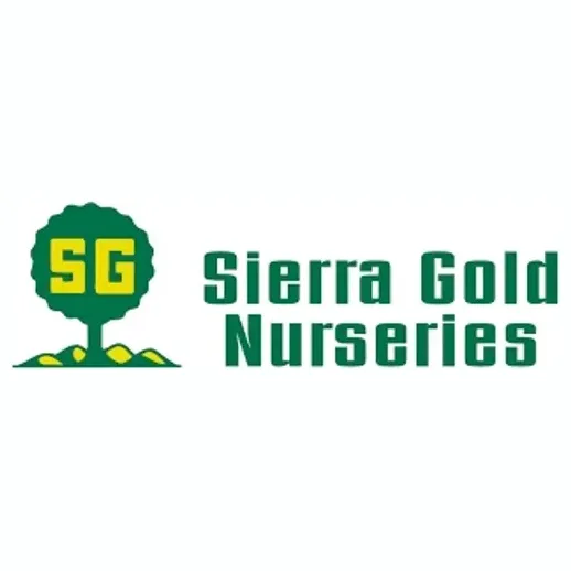 sierragoldtrees brand logo for sierragoldtrees.com