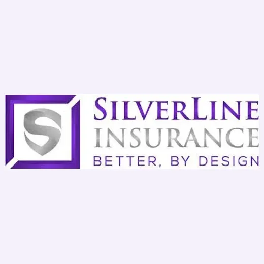 silverlineins brand logo for silverlineins.com