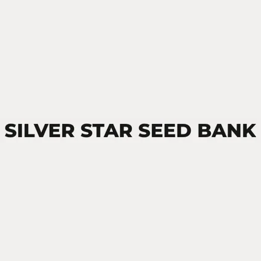 silverstarsb brand logo for silverstarsb.com