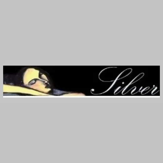 silverwines brand logo for silverwines.com