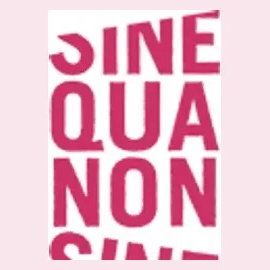 sinequanonsalons brand logo for sinequanonsalons.com
