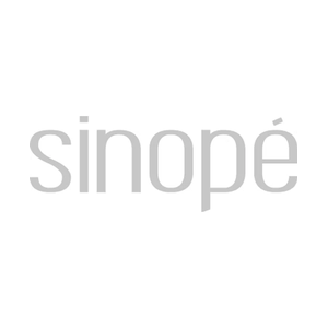 sinopetech.com/en brand logo for sinopetech.com