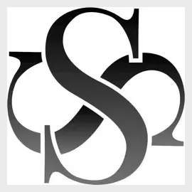 skinsnatched brand logo for skinsnatched.com