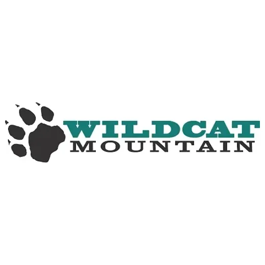 skiwildcat brand logo for skiwildcat.com