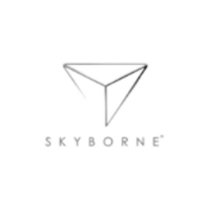 skyborne brand logo for skyborne.co