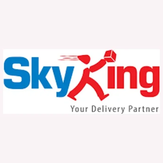 skyking brand logo for skyking.com