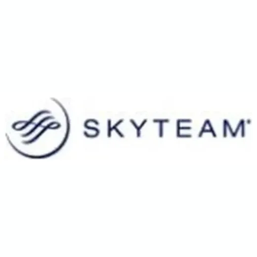 skyteam.com/en brand logo for skyteam.com