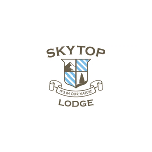 skytop brand logo for skytop.com
