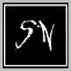 sleepneverlife brand logo for sleepneverlife.com