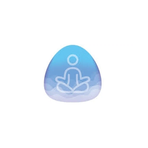 sleepsoundsapp brand logo for sleepsoundsapp.xyz