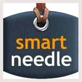 smartneedle brand logo for smartneedle.com