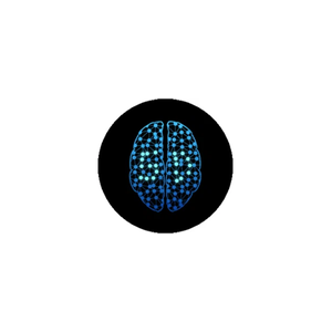 smartyzedetect brand logo for smartyzedetect.com
