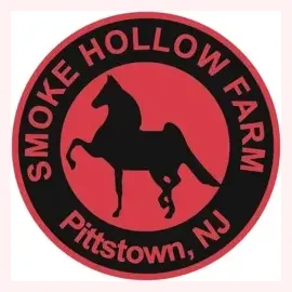 smokehollow brand logo for smokehollow.com