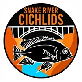 snakerivercichlids brand logo for snakerivercichlids.com