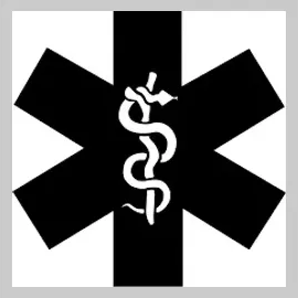 snakestaffsystems brand logo for snakestaffsystems.com