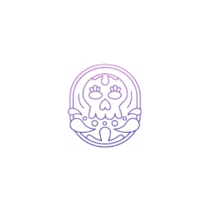 snft brand logo for snft.pro