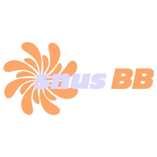 snusbb brand logo for snusbb.com