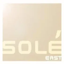 soleeast brand logo for soleeast.com