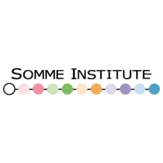 sommeinstitute brand logo for sommeinstitute.com
