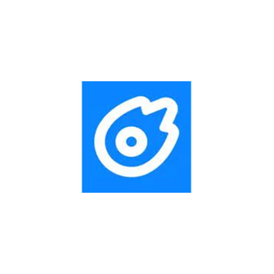 songburst brand logo for songburst.ai