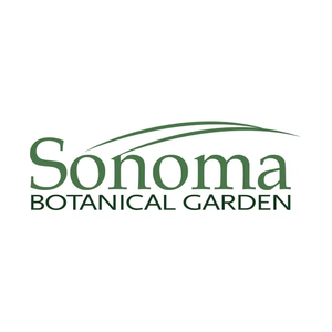 sonomabg brand logo for sonomabg.org