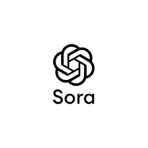 sora brand logo for sora.com