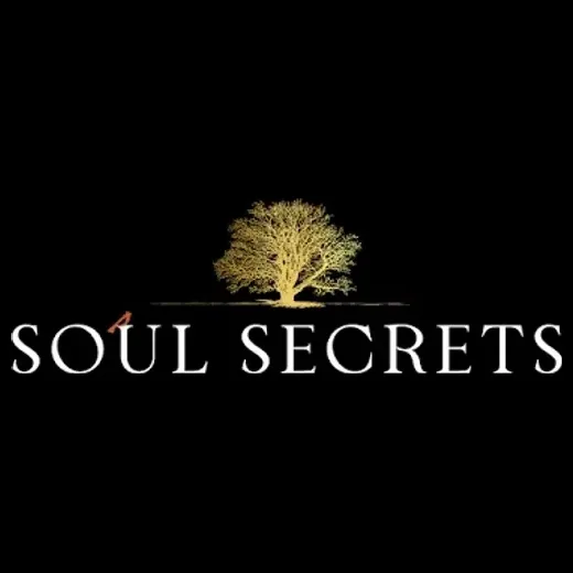 soulsecretscincy brand logo for soulsecretscincy.com