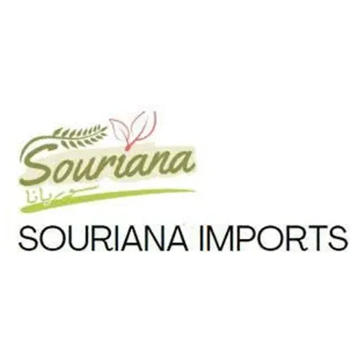 sourianaimports brand logo for sourianaimports.com