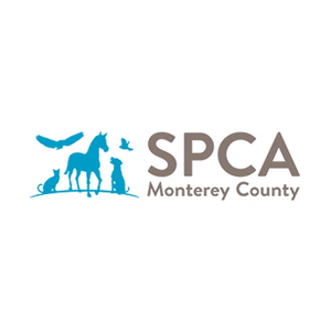 spcamc brand logo for spcamc.org