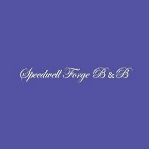 speedwellforge brand logo for speedwellforge.com