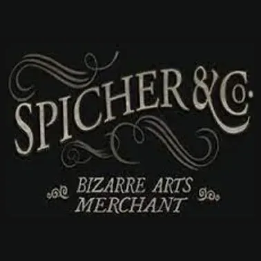 spicherandco brand logo for spicherandco.com