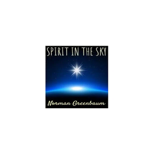 spiritinthesky brand logo for spiritinthesky.com