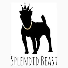 splendidbeast brand logo for splendidbeast.com