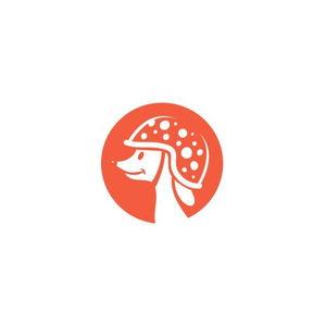 Spot Pet Insurance brand logo for spotpet.com