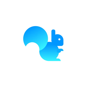 squirrel365 brand logo for squirrel365.io