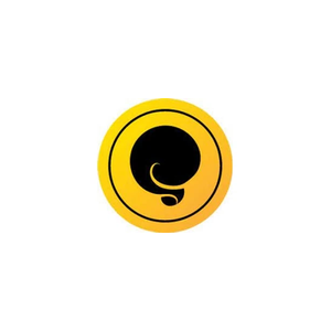Squirrly brand logo for aisq.com