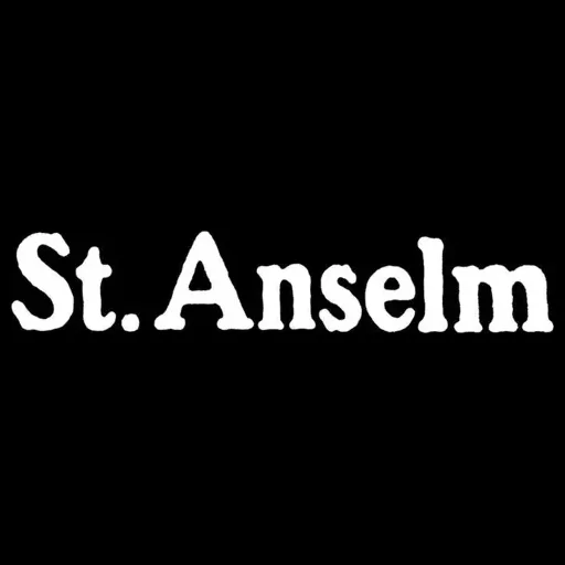 stanselmdc brand logo for stanselmdc.com