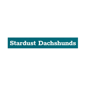 stardustdachshunds brand logo for stardustdachshunds.com