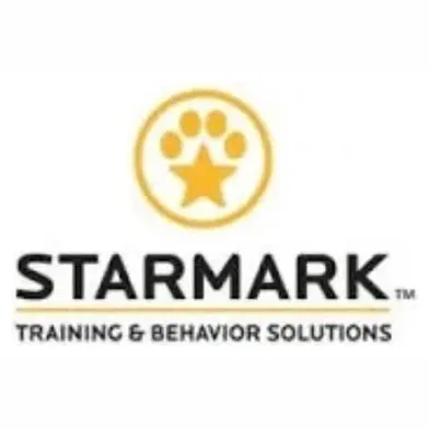 starmarkacademy brand logo for starmarkacademy.com