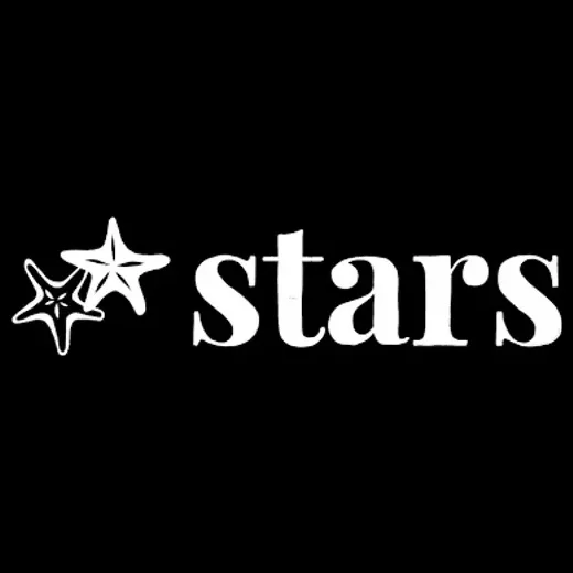 starsantiquemarket brand logo for starsantiquemarket.com