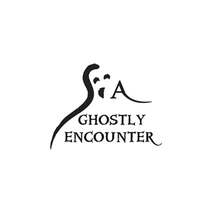 staugustineghosttours brand logo for staugustineghosttours.net