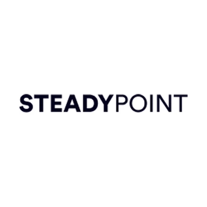 steadypoint brand logo for steadypoint.net